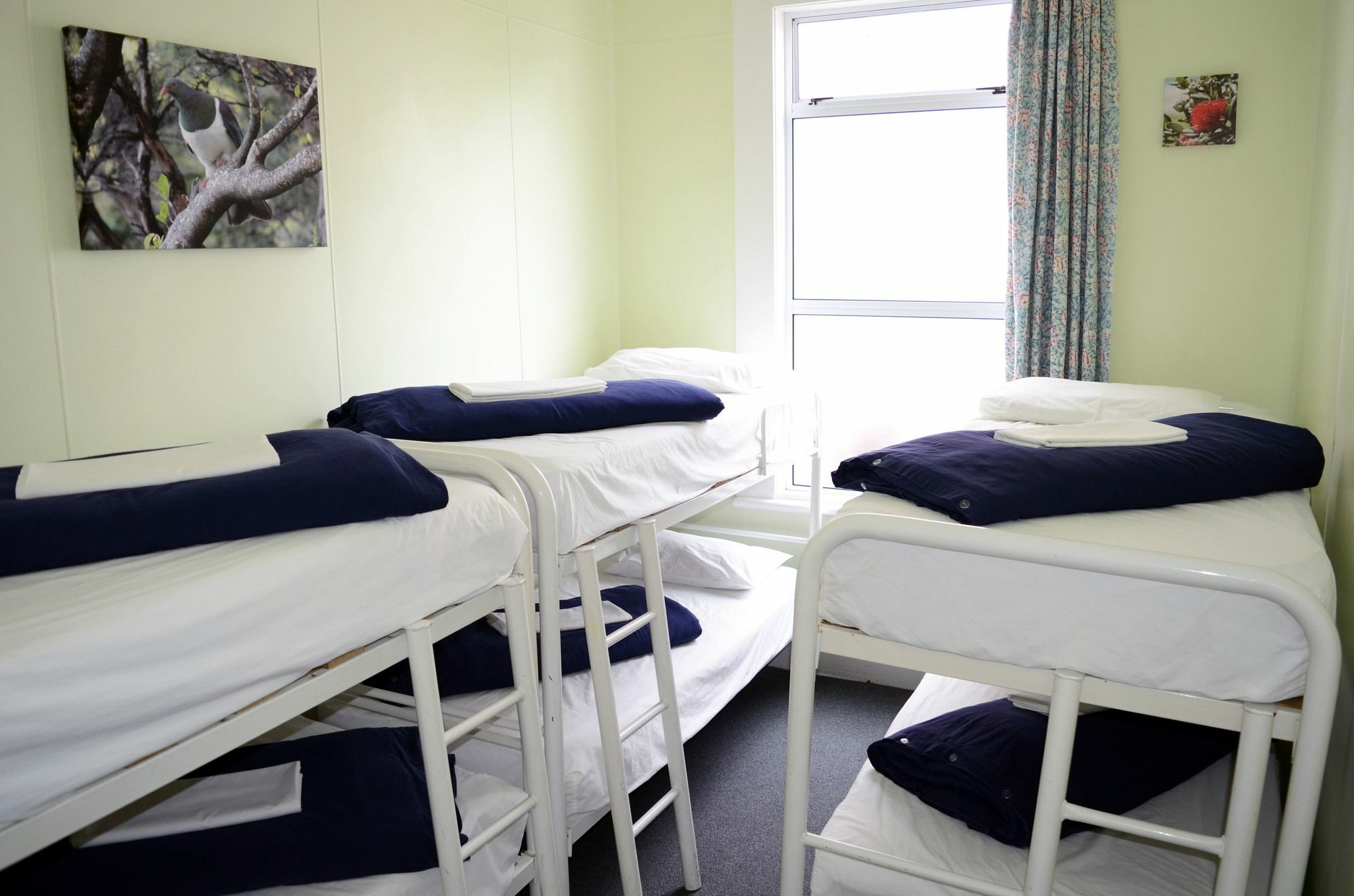 Braemar House B&B And Yha Hostel Whanganui Extérieur photo